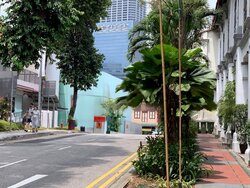 Bukit Pasoh Conservation Area (D2), Office #456354671